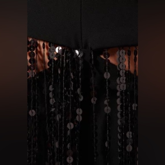 RASARIO Sequinned Fringe Dress in Crepe - Picture 7 of 15